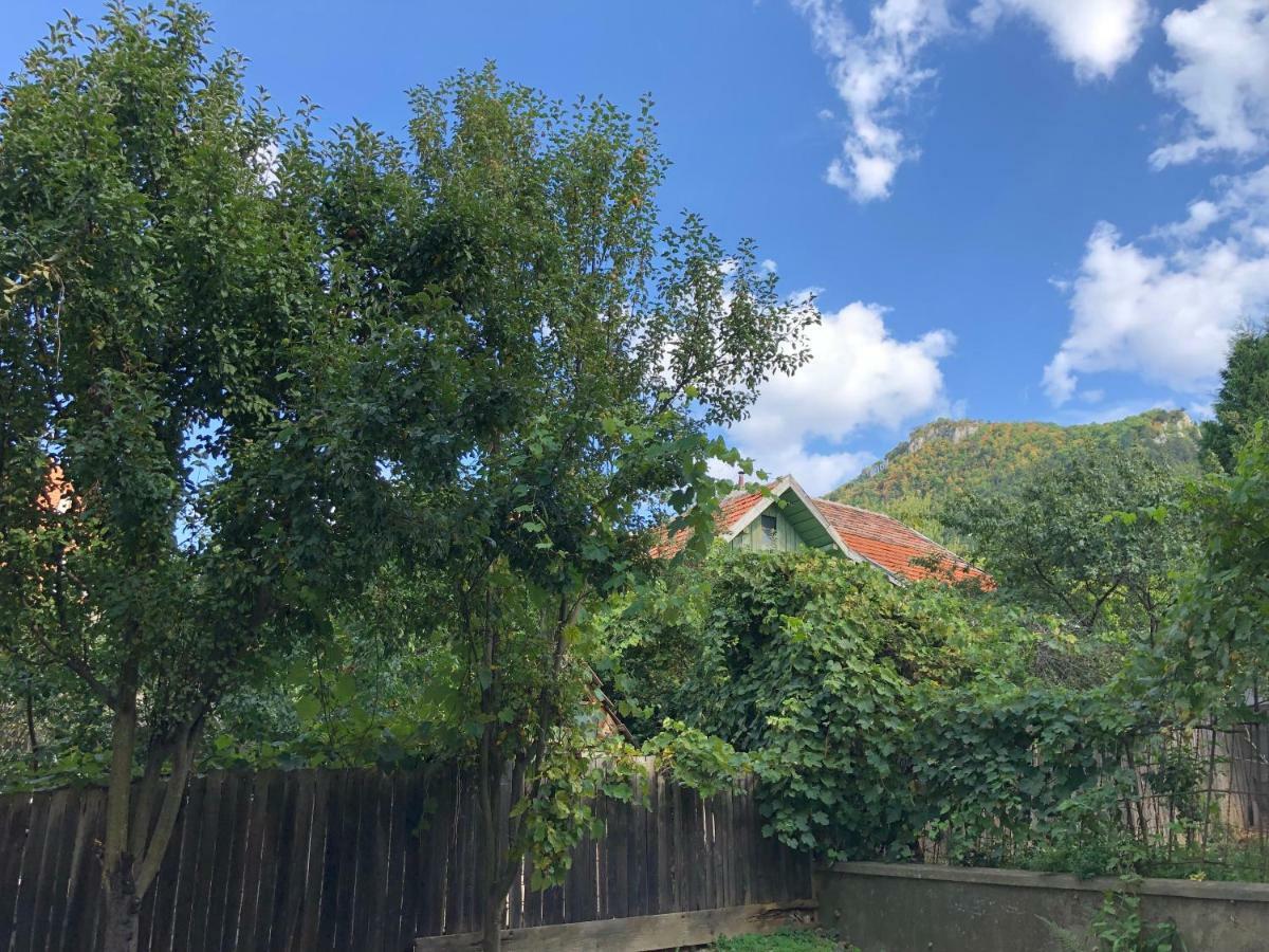 Schei Apartment 2 براشوف المظهر الخارجي الصورة